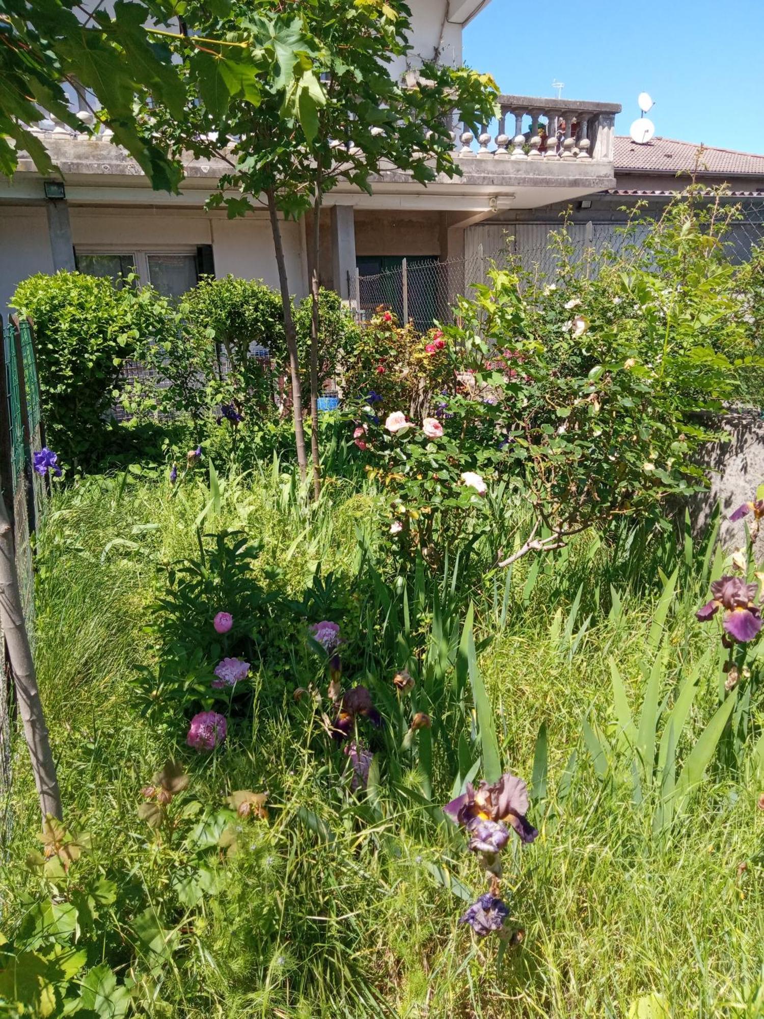 Rosalie Cottage Beaurepaire  Екстер'єр фото