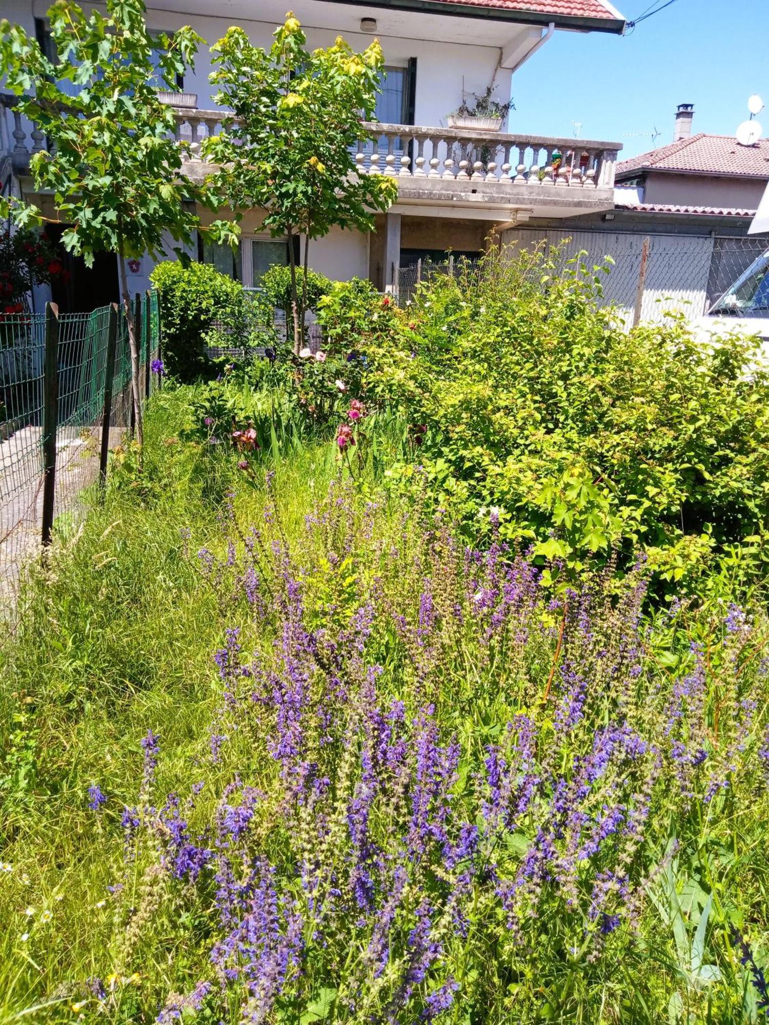 Rosalie Cottage Beaurepaire  Екстер'єр фото