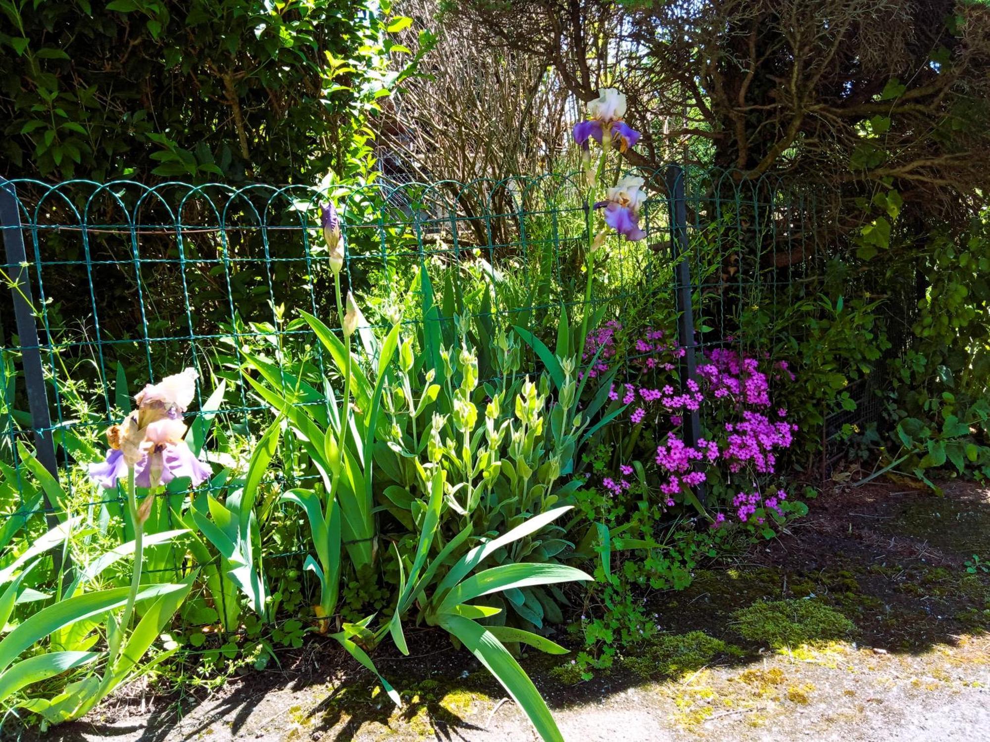 Rosalie Cottage Beaurepaire  Екстер'єр фото